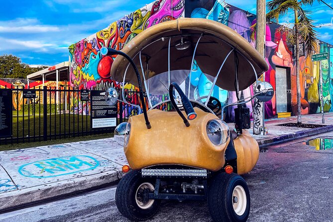 1 Hour Lady Buggy Art Tour Experience in Wynwood - Why the Windowless Setup Works for Photos (and for People Who Hate Walking)
