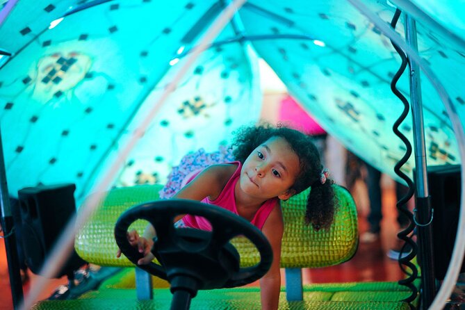 1 Hour Lady Buggy Art Tour Experience in Wynwood - Stop One: Wynwood Walls in About 20 Minutes