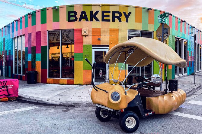 1 Hour Lady Buggy Art Tour Experience in Wynwood - What Makes the Guide Matter: The Value of a Smooth, Adjusted Route