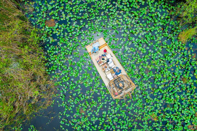 1 hr Private Airboat Everglades Tour near Miami - Key highlights to expect on this private Everglades airboat