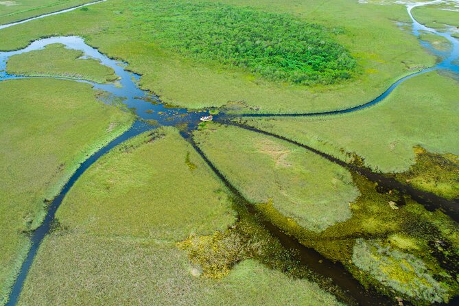 1 hr Private Airboat Everglades Tour near Miami - The 60-minute airboat ride: speed, open seating, and what to wear