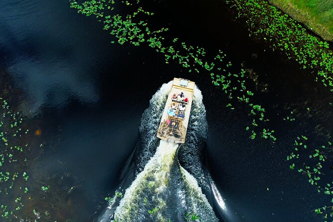 1 hr Private Airboat Everglades Tour near Miami - Weather and timing: why timing matters more than you think