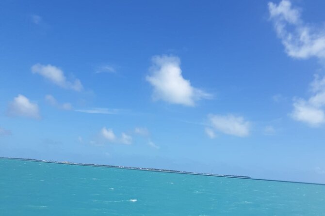 3-Day Florida: Miami Bus & Boat, Everglades & Key West Snorkeling - Everglades National Park Airboat: Where the Wildlife Time Actually Counts