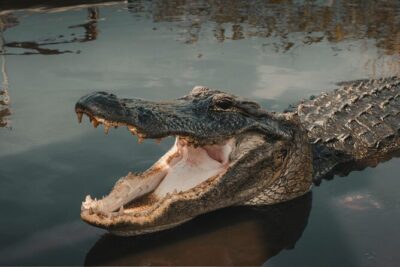 3-Day Florida: Miami Bus & Boat, Everglades & Key West Snorkeling - Miami Beach to the Florida Keys: The Overseas Highway Scenic Stretch