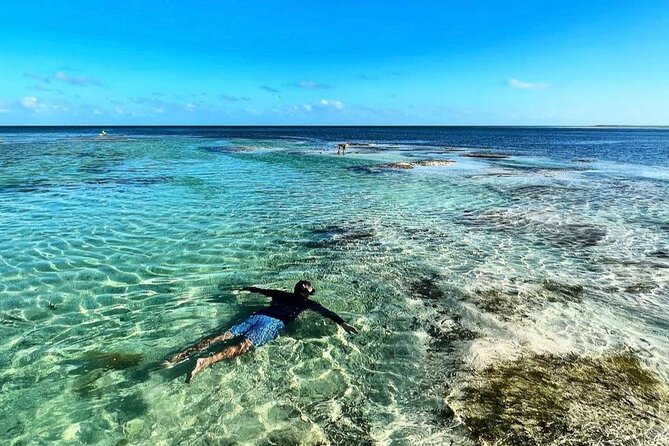40' Sea Hunter Cruise with Captain Jay - Biscayne Bay islands and the sandbar feel: the best part of the day’s “off-city” time