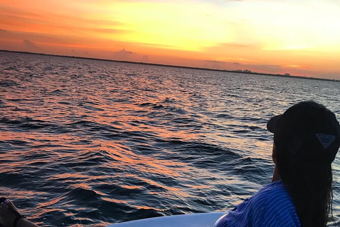 40' Sea Hunter Cruise with Captain Jay - Wildlife viewing: dolphins, manatees, and the fun of not forcing it