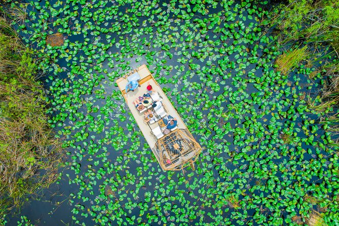 60 min. Everglades Airboat ride & pick-up ,small group +pro guide - Stop 1: Wildlife Management Area airboat ride and the River of Grass