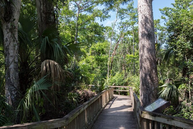 Big Cypress National Preserve Self Guided Driving Audio Tour - Finding the start: where you begin on 8th Street