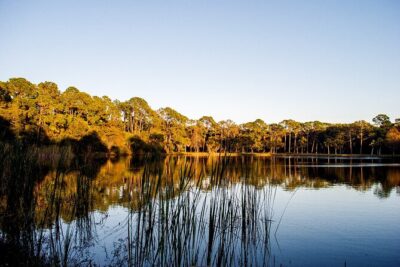 Big Cypress National Preserve Self Guided Driving Audio Tour - How the Action’s Tour Guide app works on your phone