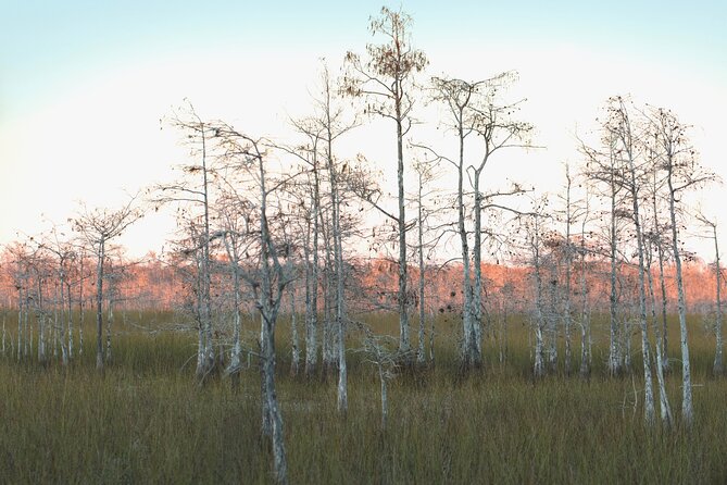 Big Cypress National Preserve Self Guided Driving Audio Tour - From US Highway 41 to Miccosukee Indian Village: the human story first