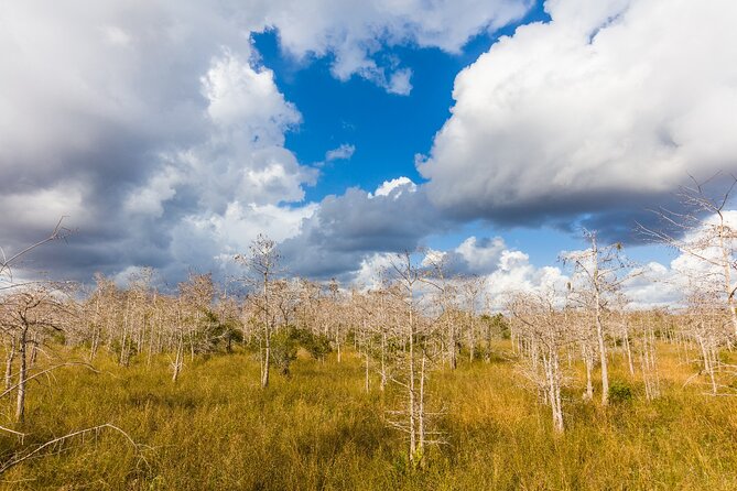 Big Cypress National Preserve Self Guided Driving Audio Tour - Loop Road and County Road 94: why this swamp became a preserve