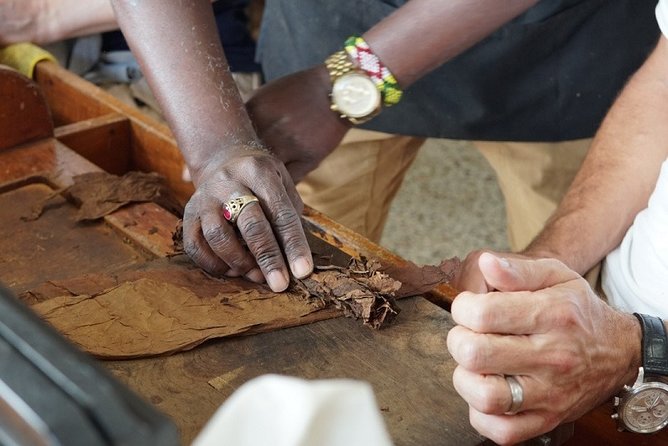 Cigar Factory Tour in Little Havana, Miami - Key points worth your time