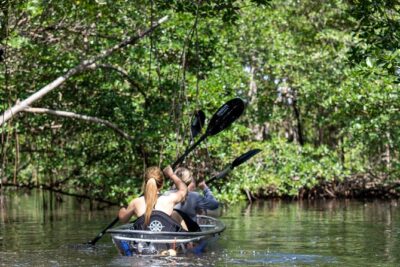 Clear Kayak Tour in North Miami Beach - Mangrove Tunnels - How the 2.5-Hour Clear Kayak Route Works (and What You’ll Actually Do)