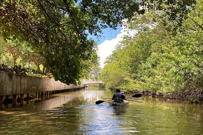 Clear Kayak Tour in South Miami Beach and Biscayne Bay - Collins Waterfront Architectural District from a kayak (and what to look for)