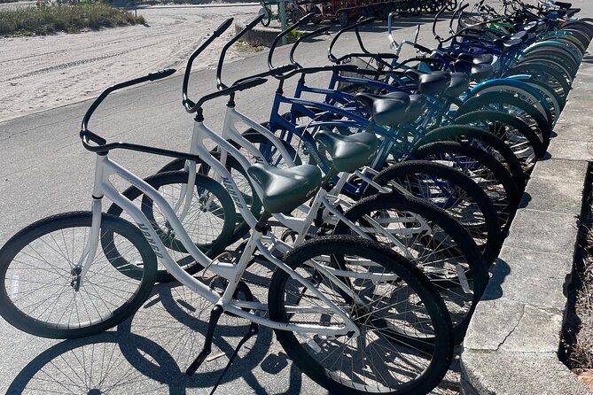 Cruiser Bike Rental at Crandon Park - Key Points to Know Before You Go