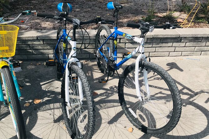 Cruiser Bike Rental at Crandon Park - What You’ll Actually Experience: A Beachy, Park-Forward Bike Day