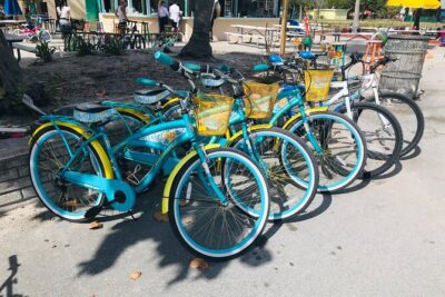 Cruiser Bike Rental at Crandon Park - Gardens and Bird Ponds: Slower Stops That Make the Ride Worth It