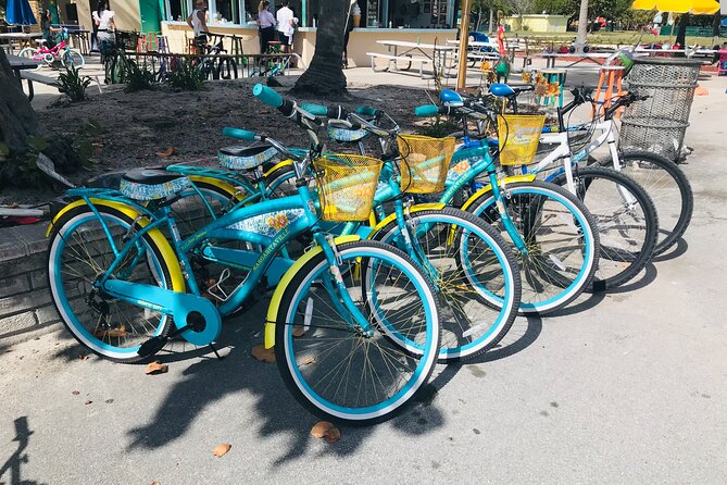 Cruiser Bike Rental at Crandon Park - Gardens and Bird Ponds: Slower Stops That Make the Ride Worth It
