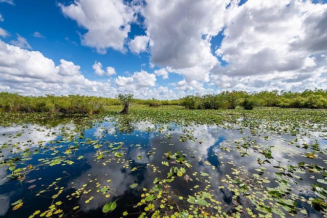 Depart from Miami to discover the Everglades with Airboat tour included! - Miami-to-Everglades: the easy day plan that still feels real