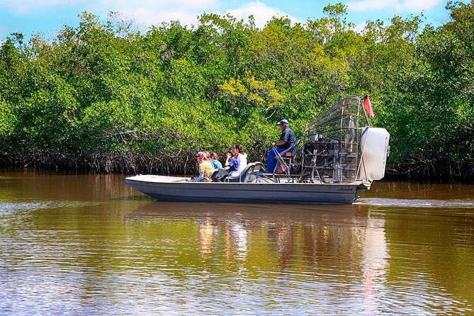 Depart from Miami to discover the Everglades with Airboat tour included! - The kind of wildlife you should expect (and how to spot it)