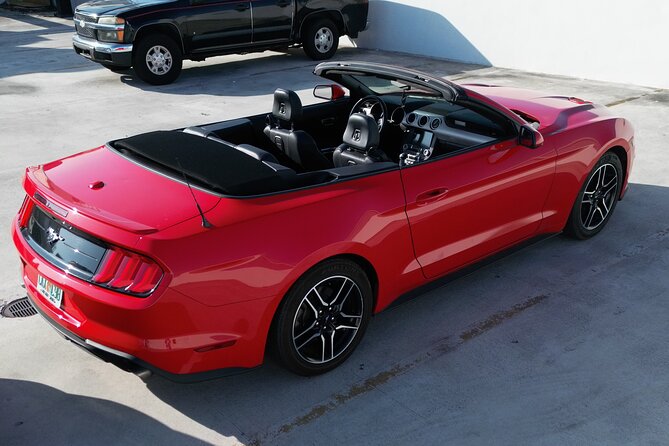 Drive a Mustang Convertible - Key Points You’ll Care About