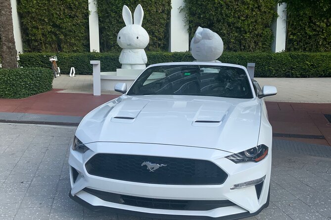 Drive a Mustang Convertible - Why a Mustang Convertible Changes How You See Miami