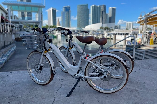 Electric Bike Rental Miami Beach - Perez Museum Park and American Airlines Arena moments