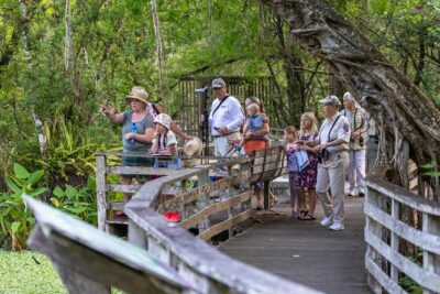 Everglades Airboat Adventure with Hotel Transport from Miami - Key Things I’d Plan Around