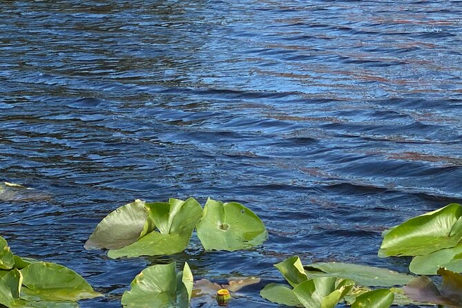 Everglades Airboat Adventure with Roundtrip Bayside Transfer - Should you book it? My honest take for most people