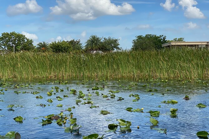 Everglades Airboat Tour with Roundtrip Transportation from Miami - Alligator Show and Exhibit: Learning Without Feeling Like a Lecture