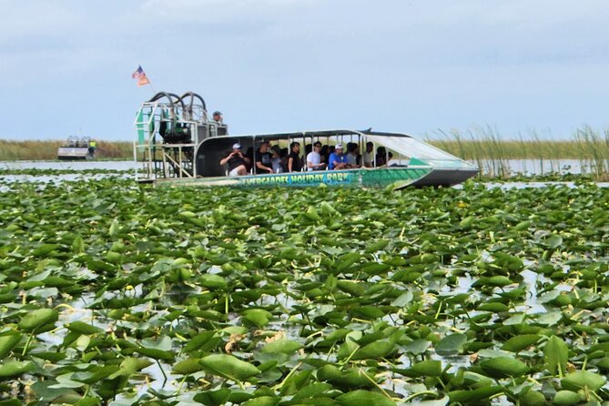 Everglades Alligator Airboat Tour with Bus transfer from Miami - What You’re Really Buying: Airboat Ride + Alligator Park, Not Just a Boat