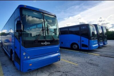 Everglades Alligator Airboat Tour with Bus transfer from Miami - Price and value: why this number can work