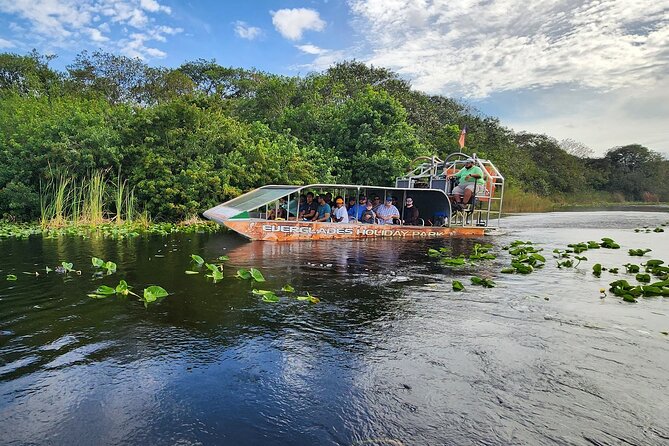 Everglades Alligator Airboat Tour with Bus transfer from Miami - The 1-hour airboat tour: what it feels like and what you might see