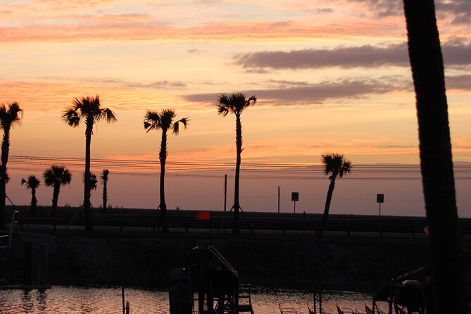 Everglades at Night with Airboat and Alligators Tour From Miami - Guide personalities: why narration makes or breaks the night