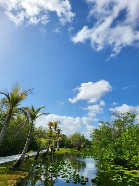 Everglades: boat tour with transportation& entrance included - The Tiny-Group Plan Behind a Perfect Half-Day