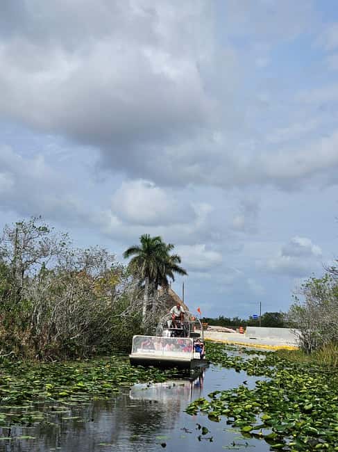 Everglades: boat tour with transportation& entrance included - Alligator Show: Short, Focused, and Easy to Follow