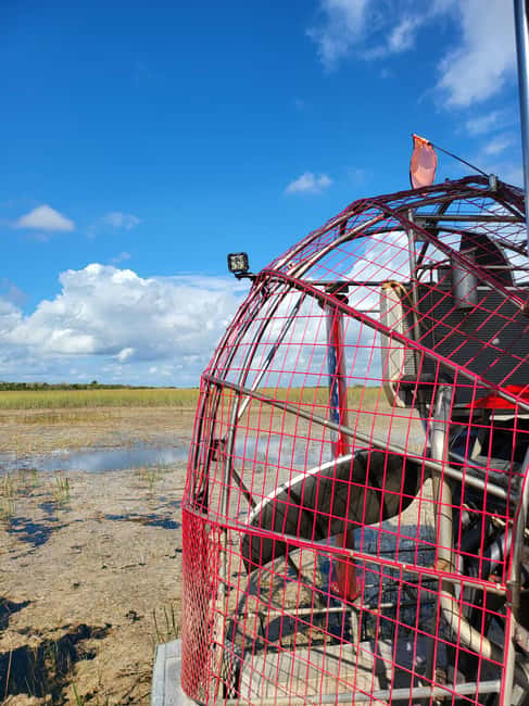 Everglades: boat tour with transportation& entrance included - Time to Walk and Shop Inside the Park Area