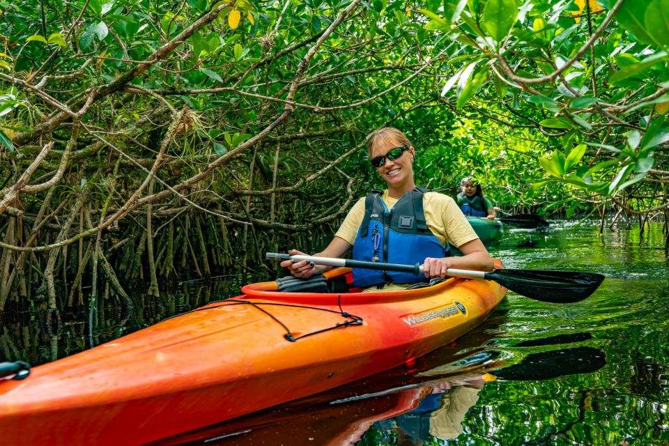 Everglades City: Guided Kayaking Tour with and Airboat Ride - Key highlights you’ll actually care about