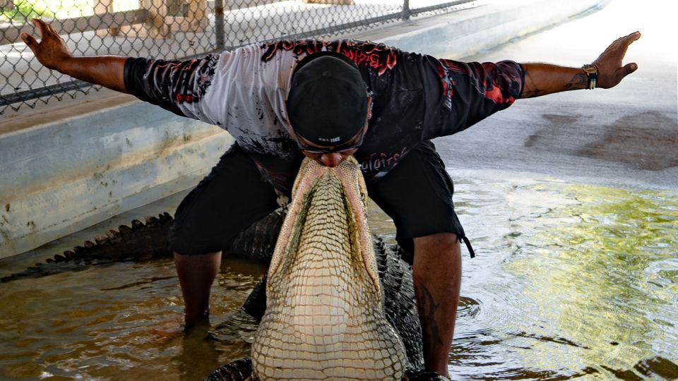 Everglades City: Guided Kayaking Tour with and Airboat Ride - Airboat tour: gliding over 259 acres of grasslands and mangroves