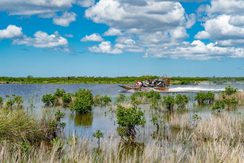 Everglades City: Guided Kayaking Tour with and Airboat Ride - Everglades City Boardwalk: your included mangrove stroll