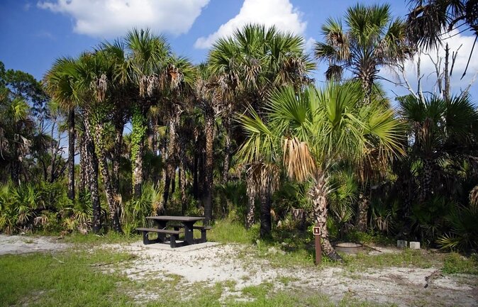 Everglades Day Safari from Miami - Quick hits