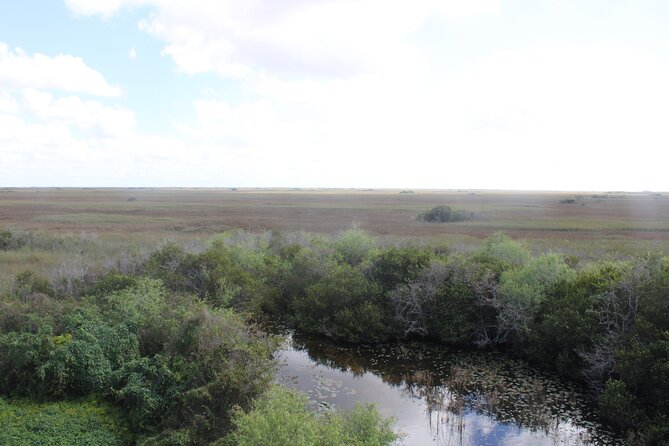 Everglades Eco Airboat Tour-Small Group & 2 Private Islands - Two Private Island Stops: Hammocks, Rescue Work, and a Boardwalk