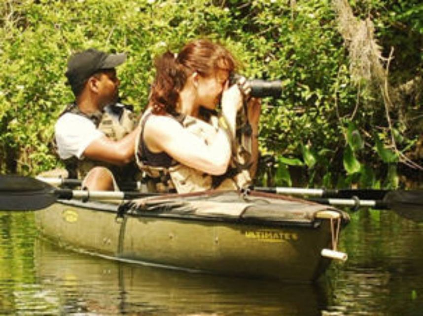Everglades: Everglades Alligators and Orchids Kayak Eco Tour - Getting photos without crowding wildlife