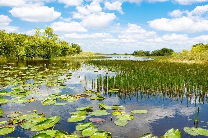Everglades Express From Miami with Safari Airboat Ride - Who should book this Everglades Express