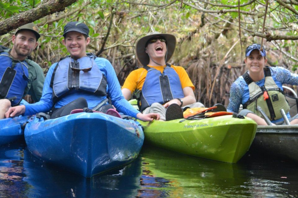 Everglades Kayak Safari Adventure Through Mangrove Tunnels - Key things to notice before you paddle