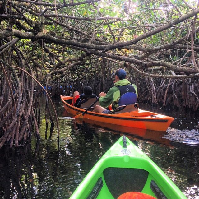 Everglades Kayak Safari Adventure Through Mangrove Tunnels - Meeting point on Tamiami Trail: quick directions and bathroom reality