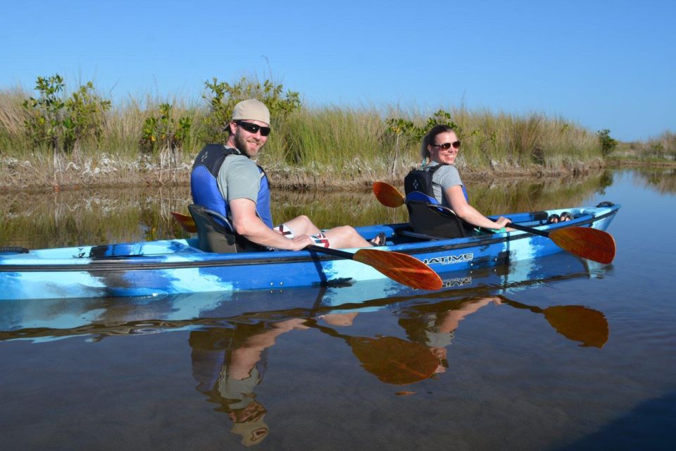 Everglades Kayak Safari Adventure Through Mangrove Tunnels - Wildlife and plants: what you might see on a good day