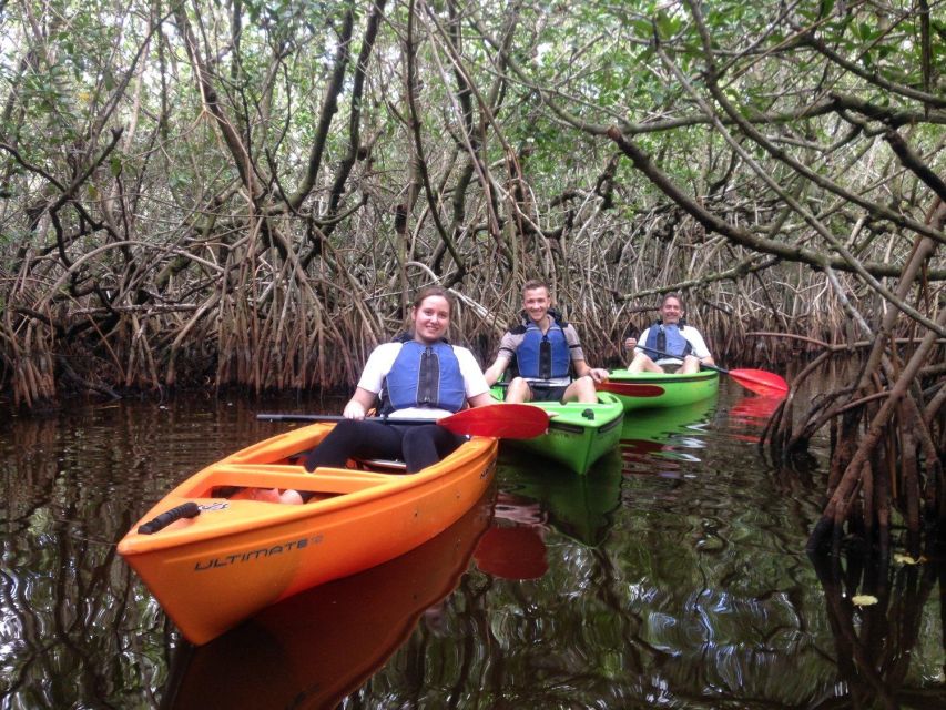 Everglades Kayak Safari Adventure Through Mangrove Tunnels - Who should go, and who should skip this kayak safari