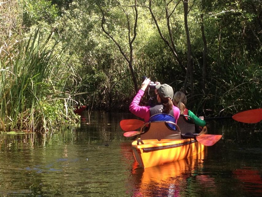 Everglades Kayak Safari Adventure Through Mangrove Tunnels - Should you book this Everglades kayak safari?