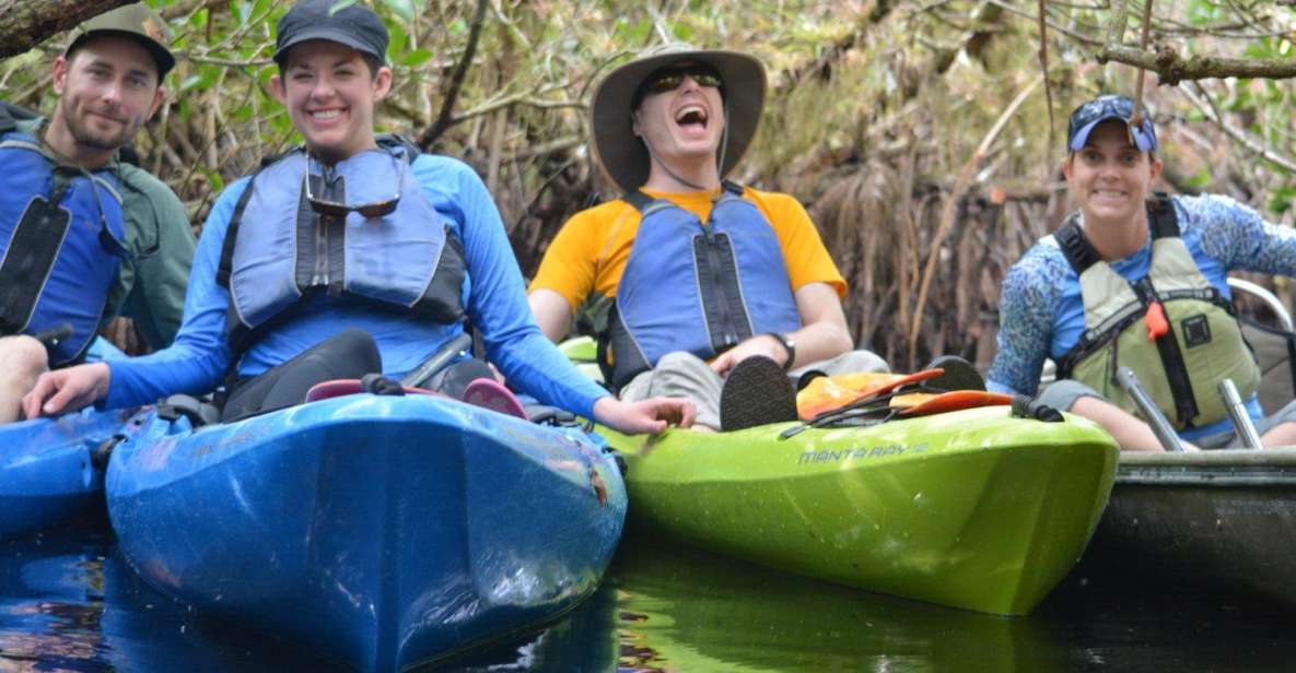 Everglades Kayak Safari Adventure Through Mangrove Tunnels - Small group, stable kayaks: comfort that changes everything